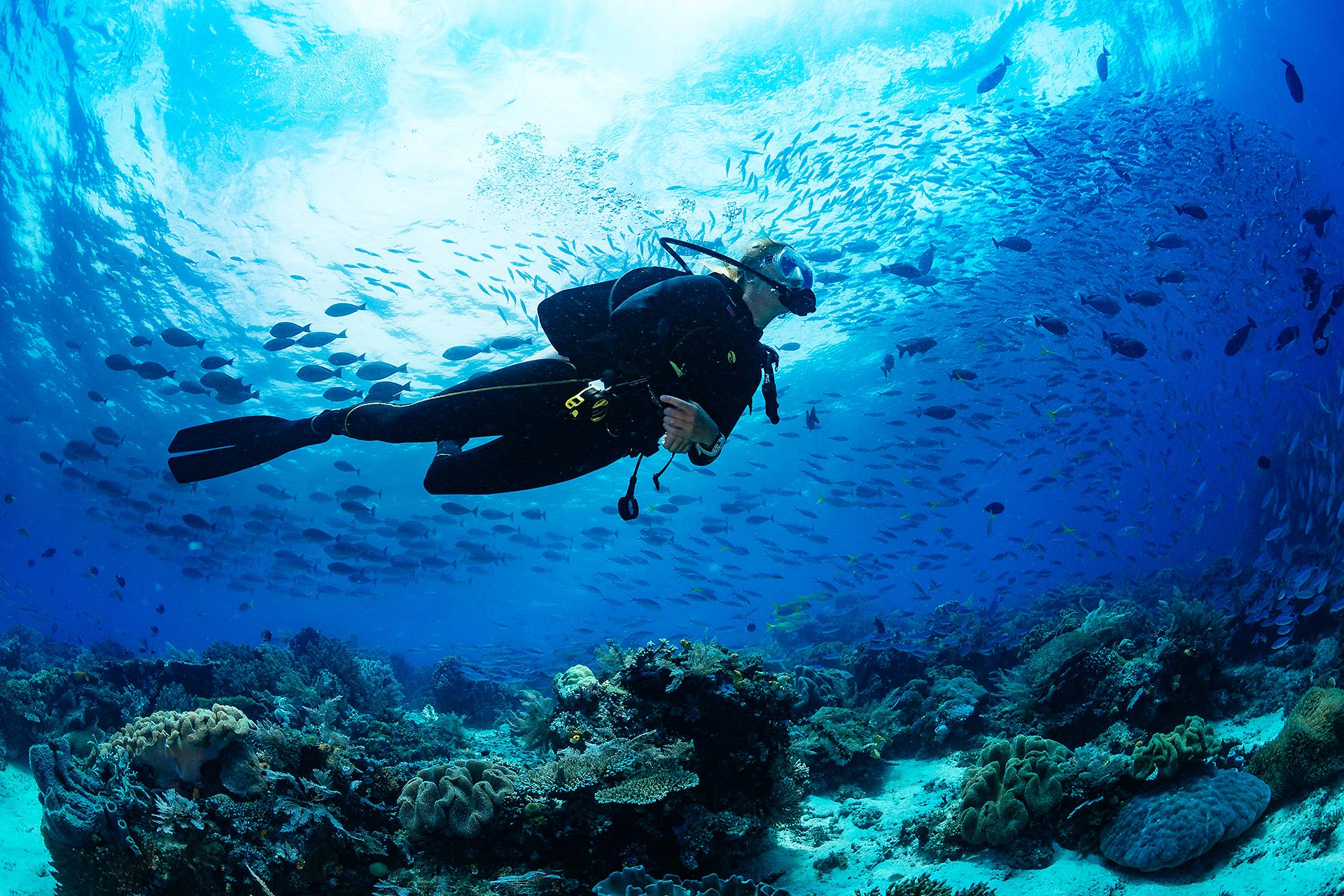 Un buceador nadando sobre un arrecife de coral