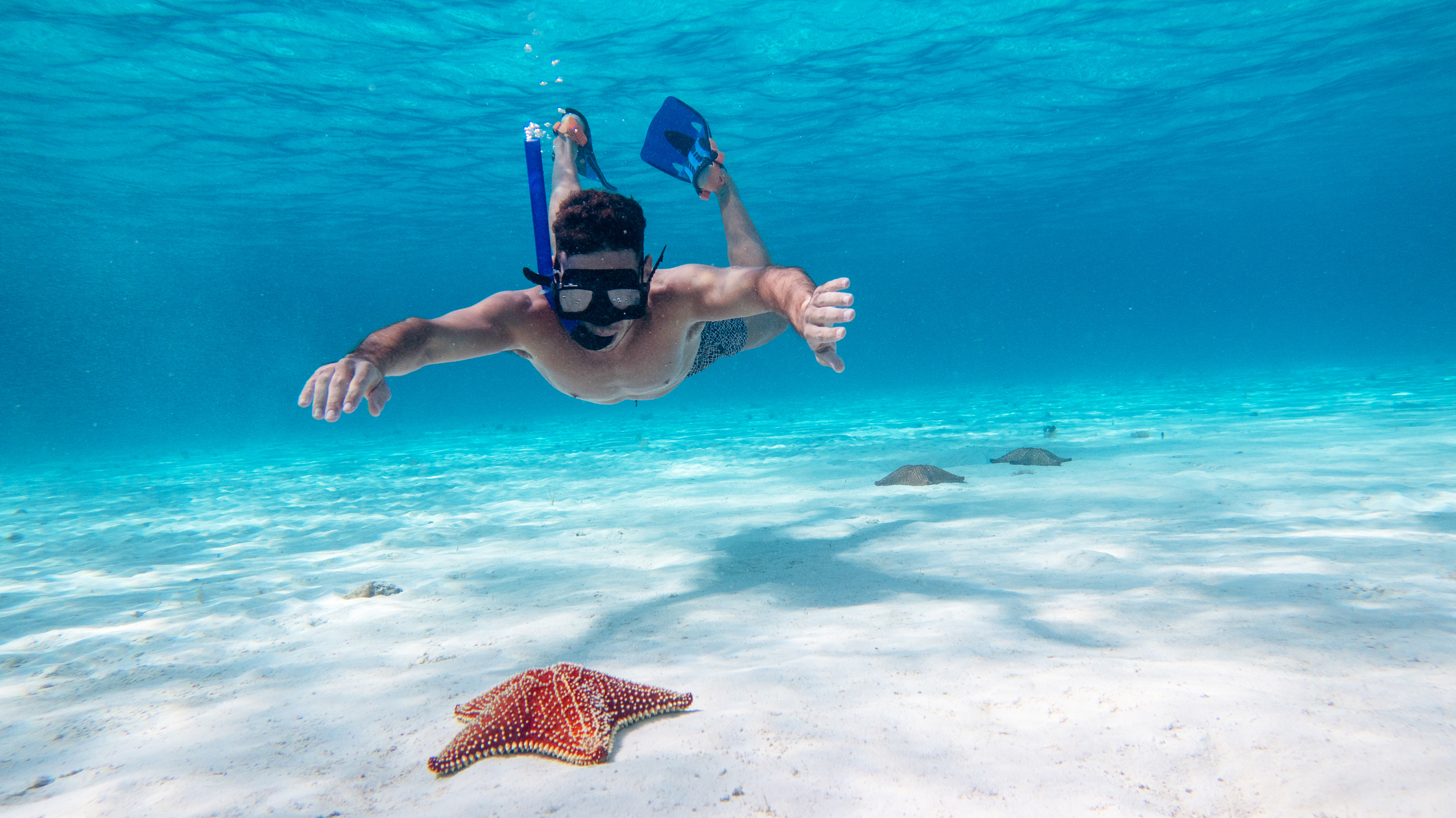 Snorkel at El Cielo in Cozumel